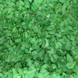 ARROZ glutinoso VERDE copos - 1.kg